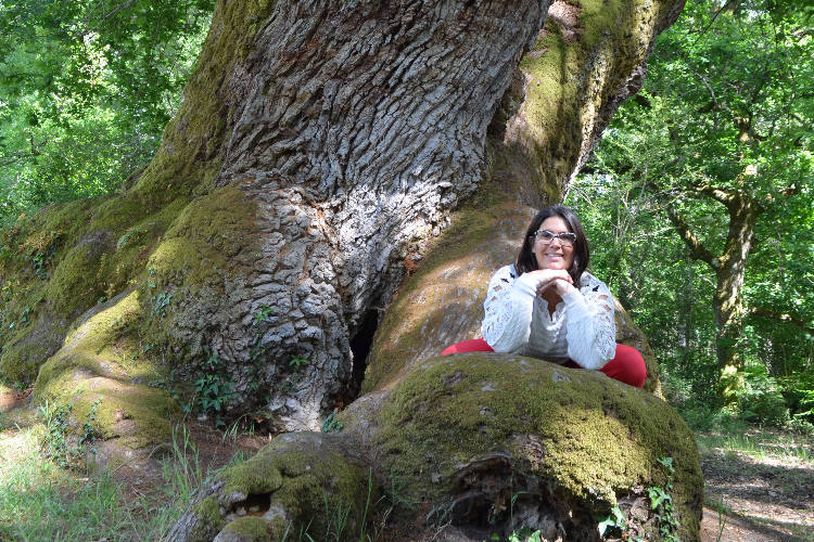 Constellation chamanique